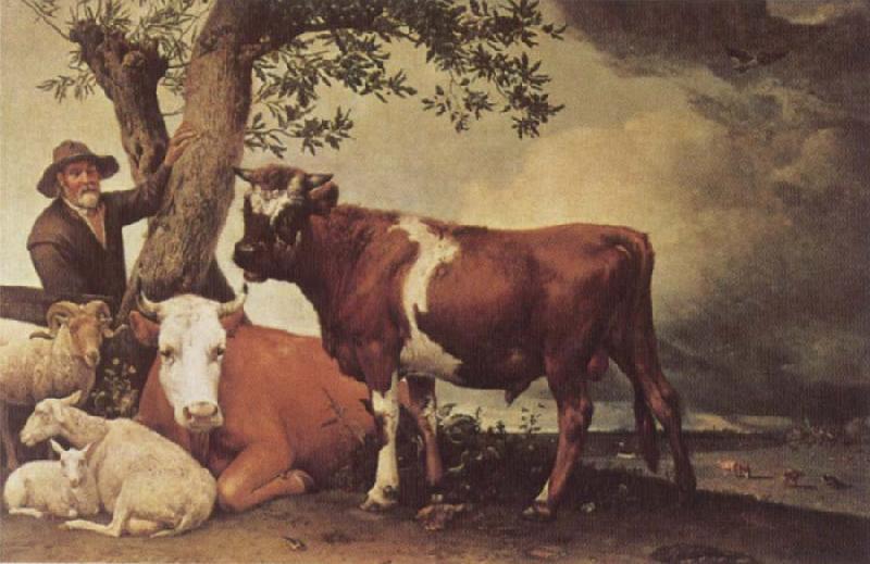 POTTER, Paulus Young Bull France oil painting art